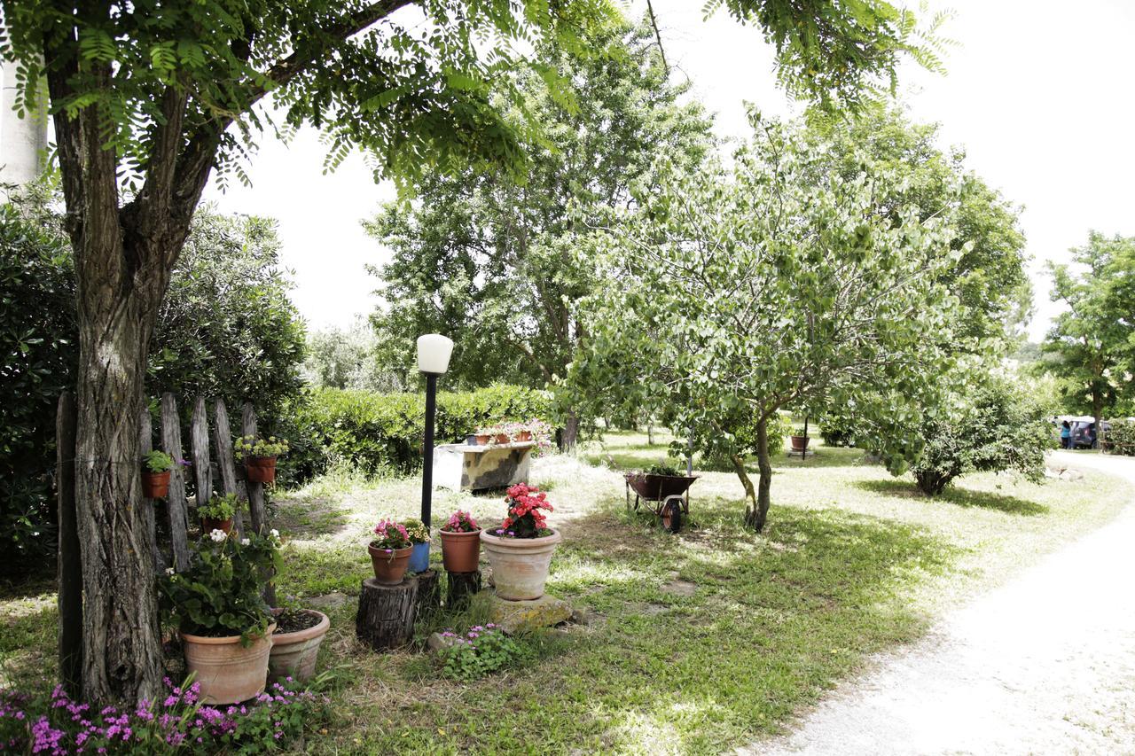 Bauernhof La Gioia Scansano